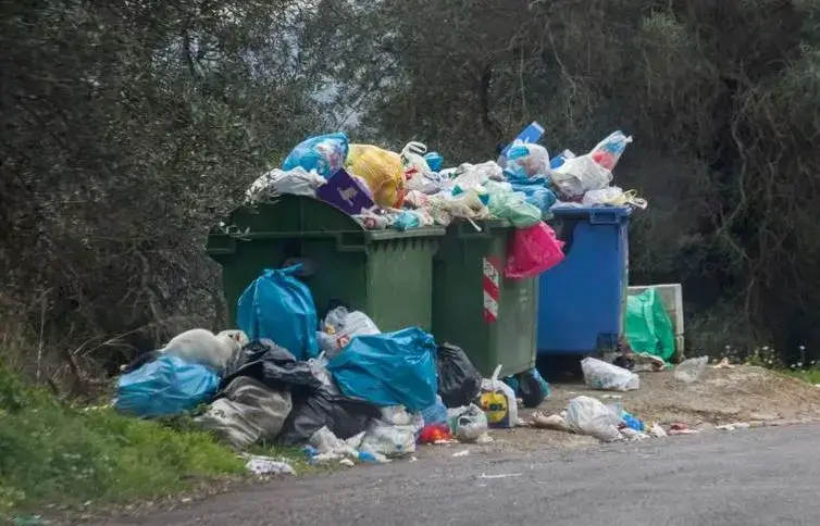 حلم القمامة في المنام وتفسير رؤيتها