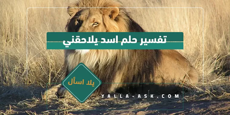 تفسير حلم اسد يلاحقني