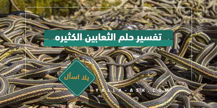 تفسير حلم الثعابين الكثيره