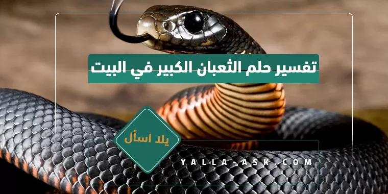 تفسير حلم الثعبان الكبير في البيت