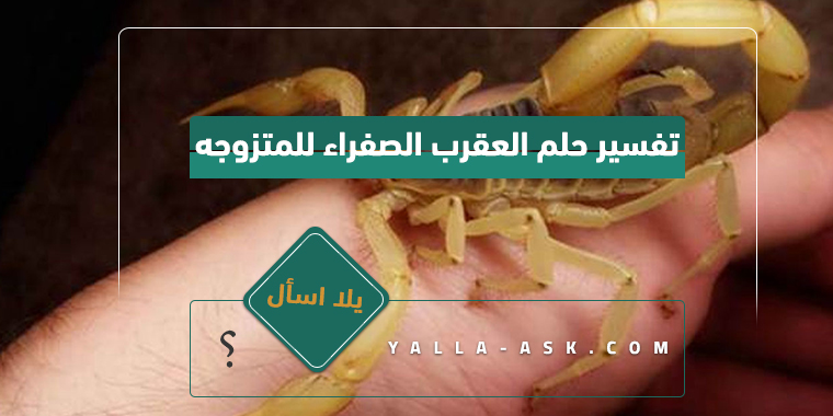 تفسير حلم العقرب الصفراء للمتزوجه