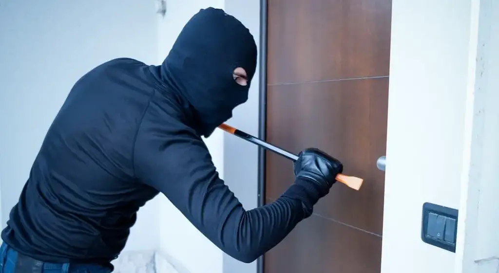 اللص في المنام