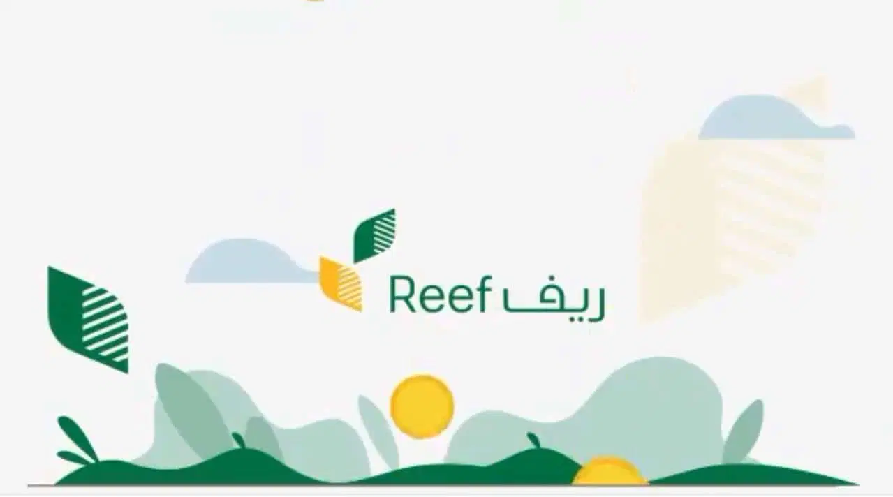 هل دعم ريف مدي الحياة أم لمدة سنة فقط؟ وما هي شروط البرنامج؟