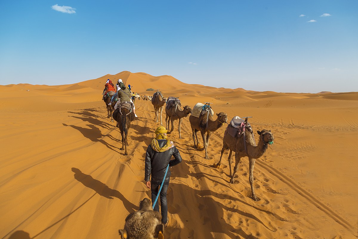 الحسيني وش يرجعون