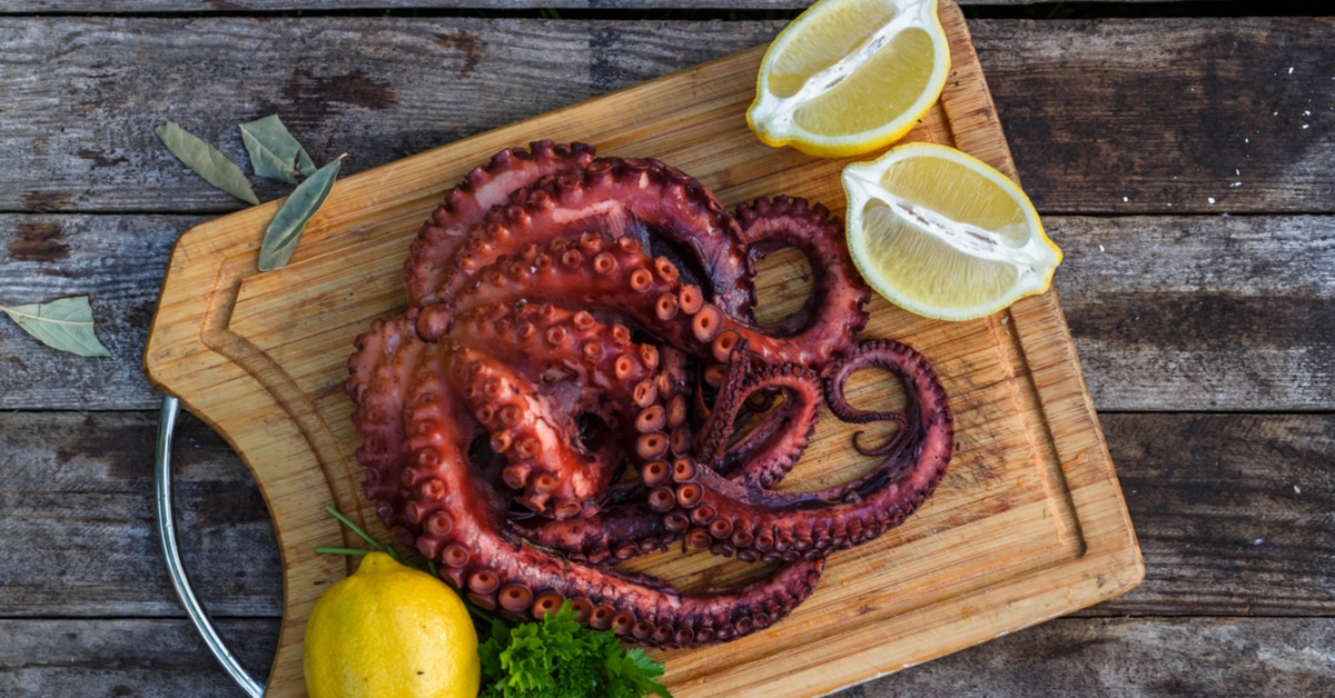 بالصور: فوائد أكل الأخطبوط - ويب طب