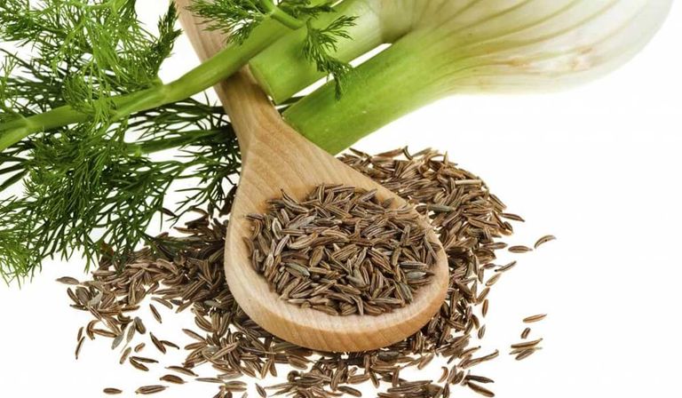 121 203625 benefits fennel and harmful 2 - اسرار تفسير الاحلام
