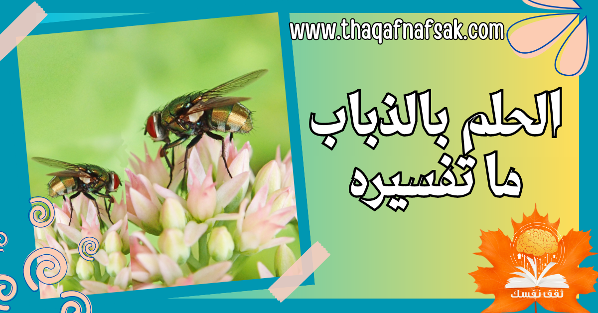 الحلم بالذباب ما تفسيره