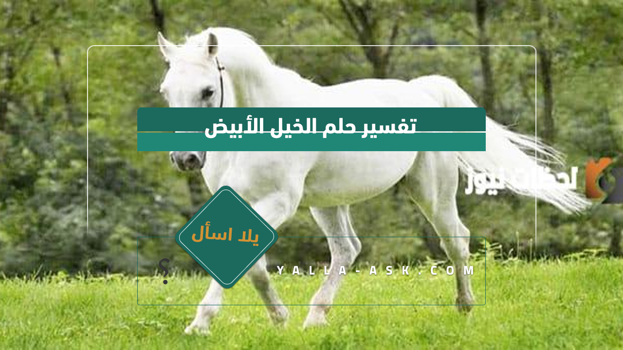 تفسير حلم الخيل الأبيض
