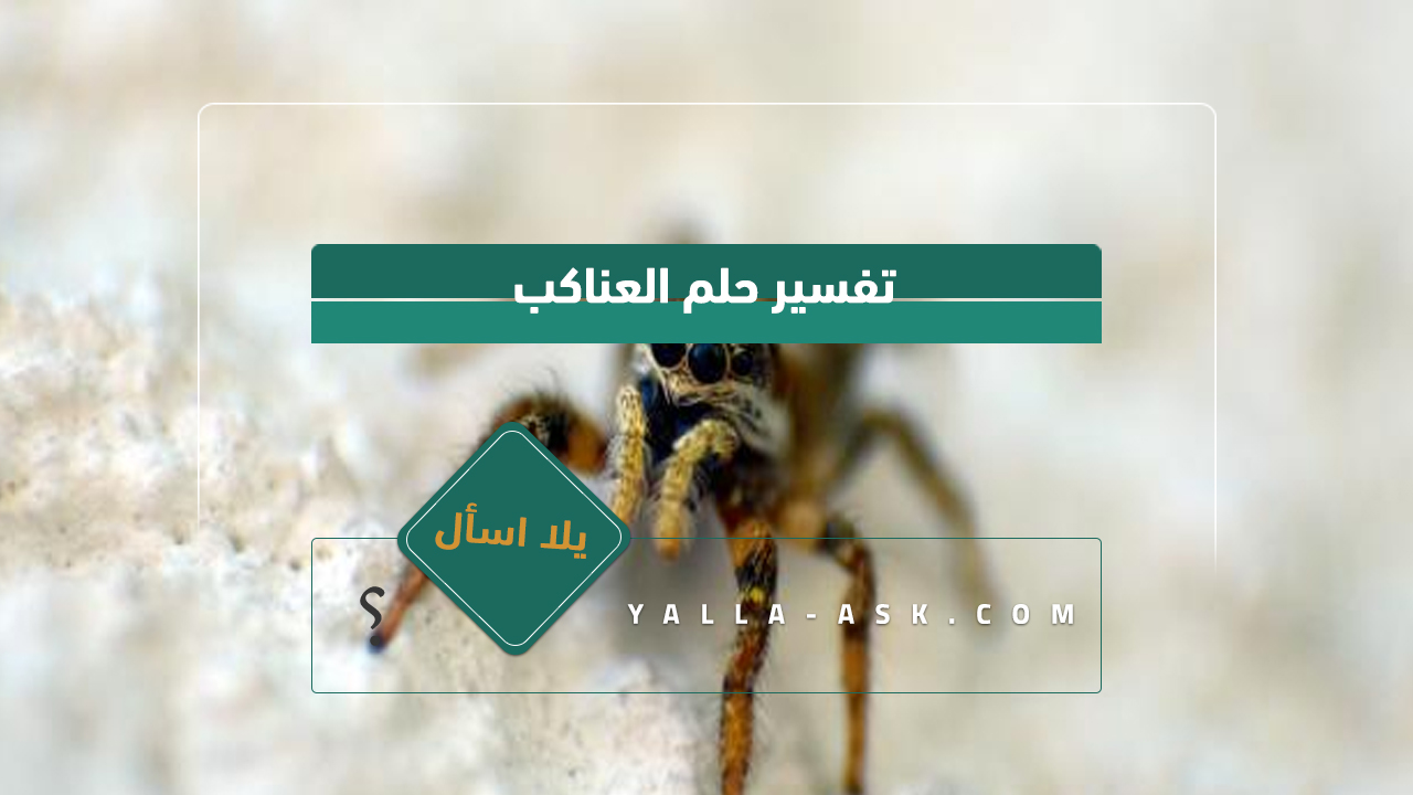 تفسير حلم العناكب