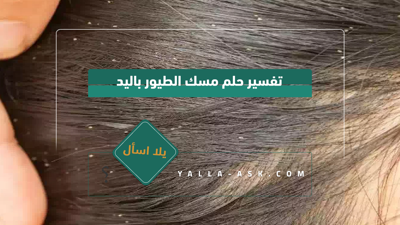 تفسير حلم القمل بالشعر