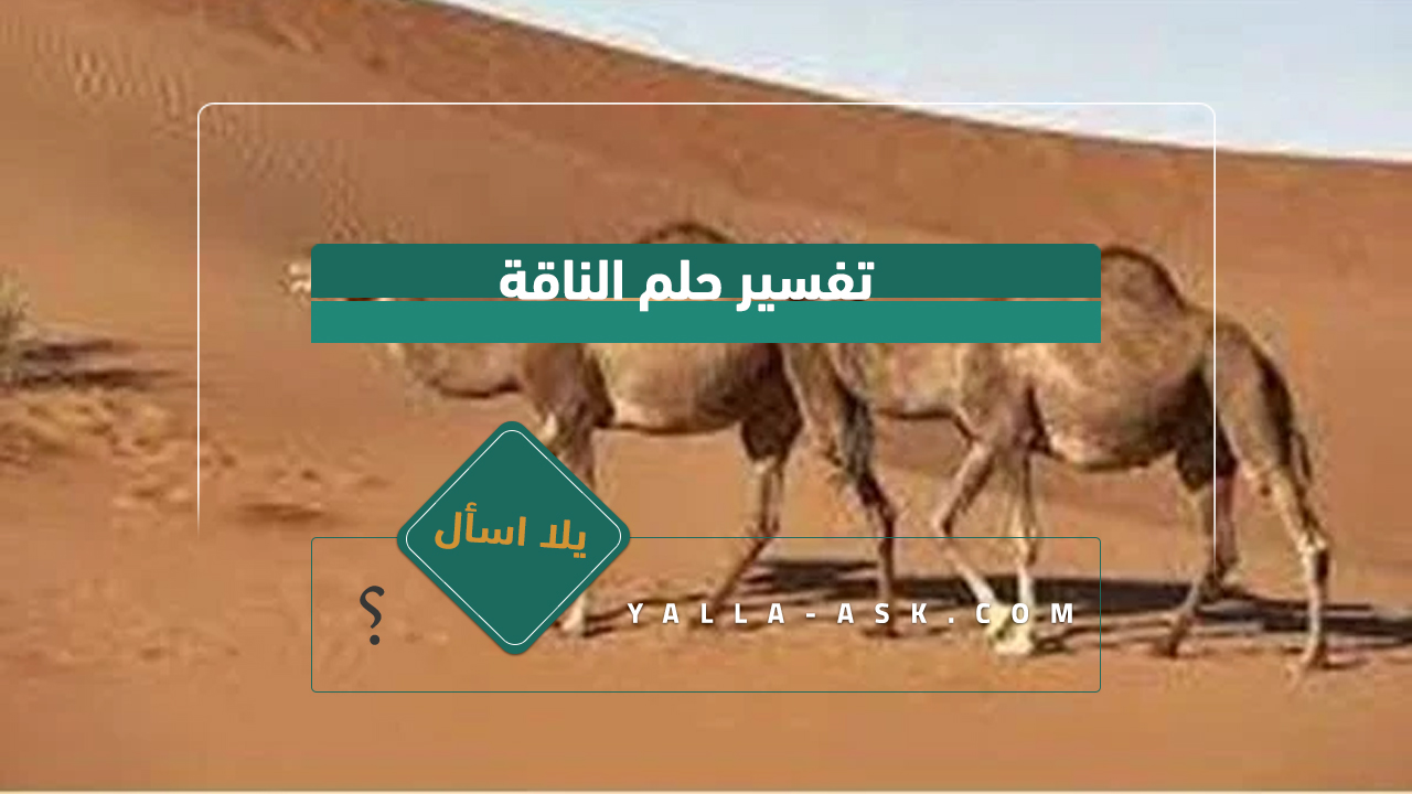 تفسير حلم الناقة