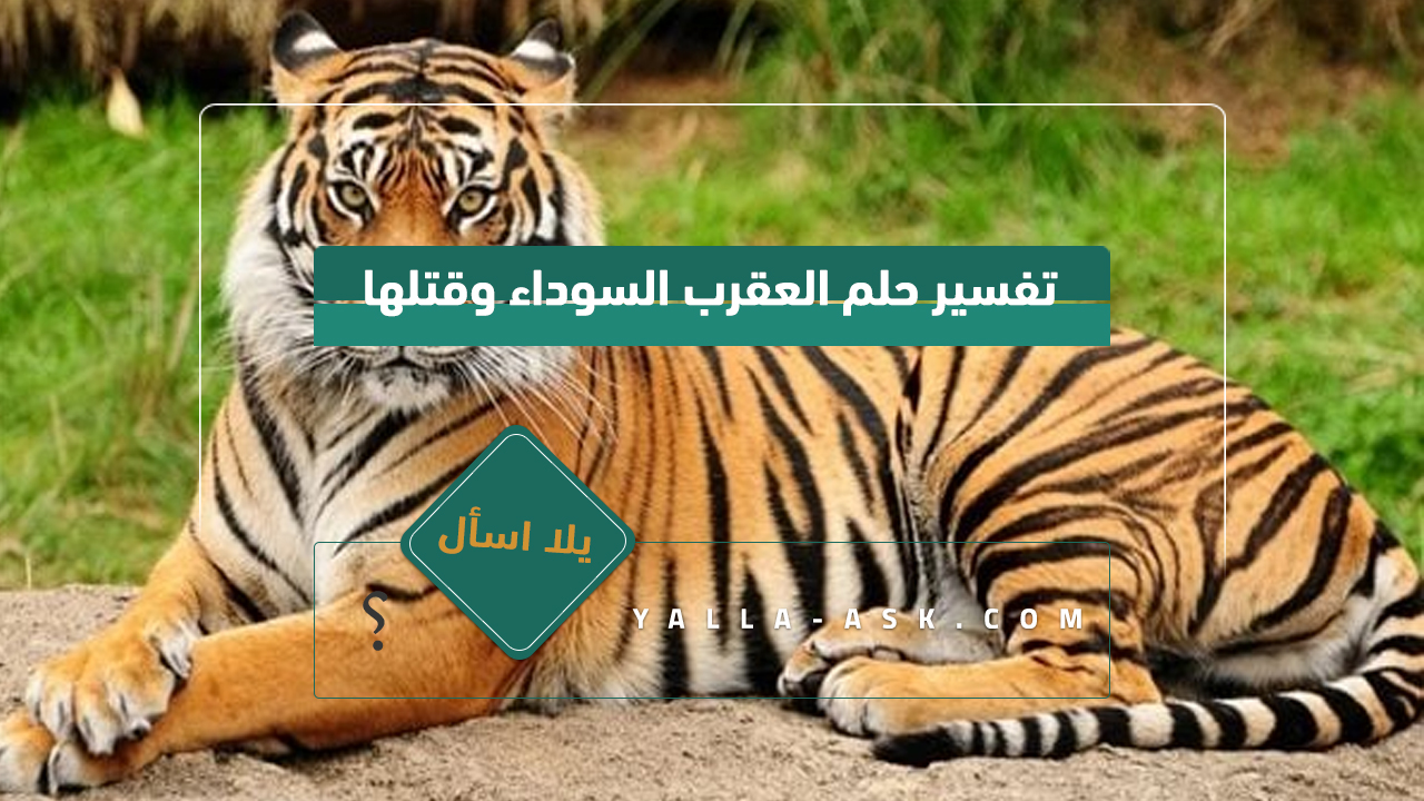 تفسير حلم النمر للمتزوجة