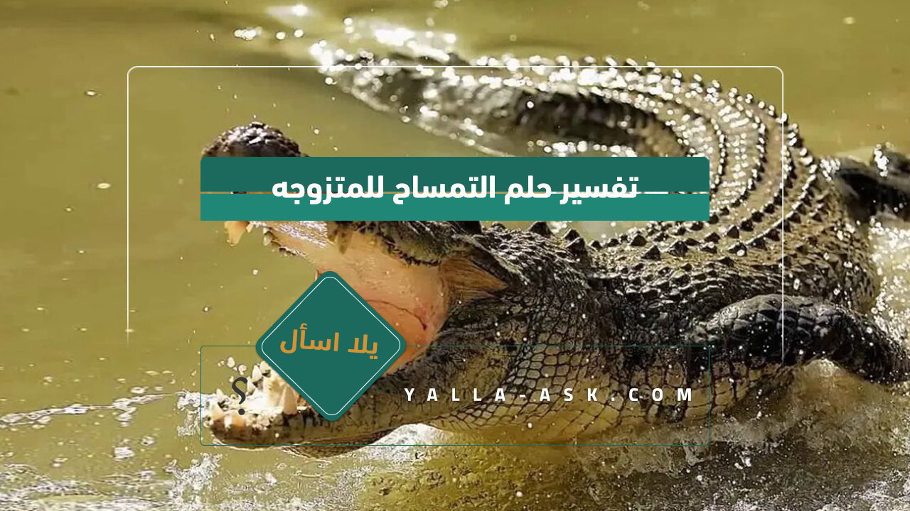 تفسير حلم التمساح للمتزوجه