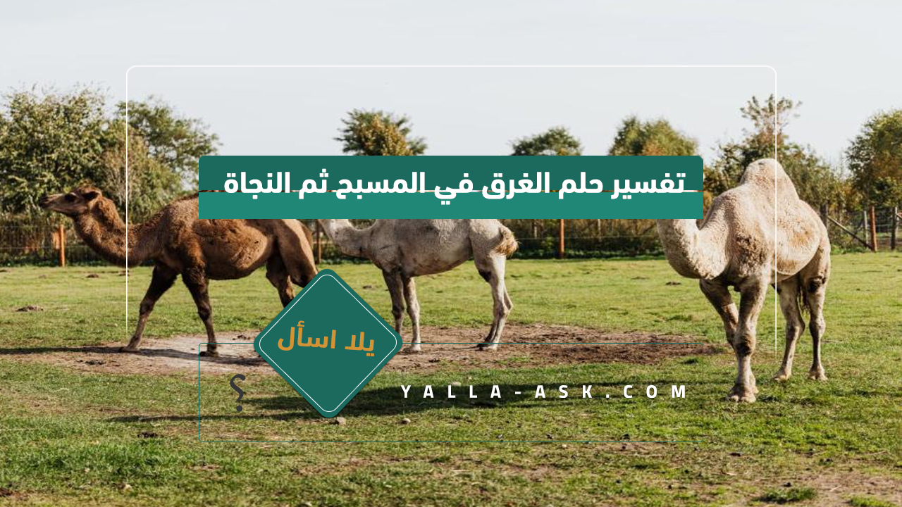 تفسير حلم الجمل يلاحقني