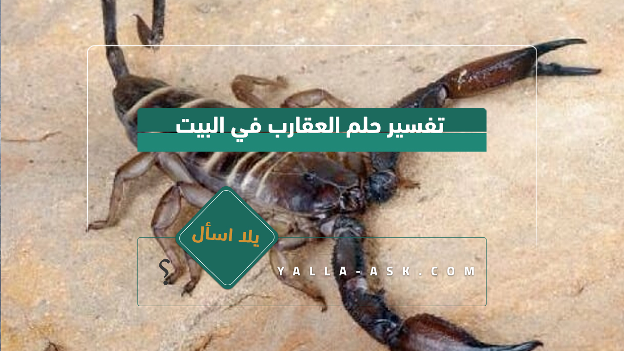 تفسير حلم العقارب في البيت
