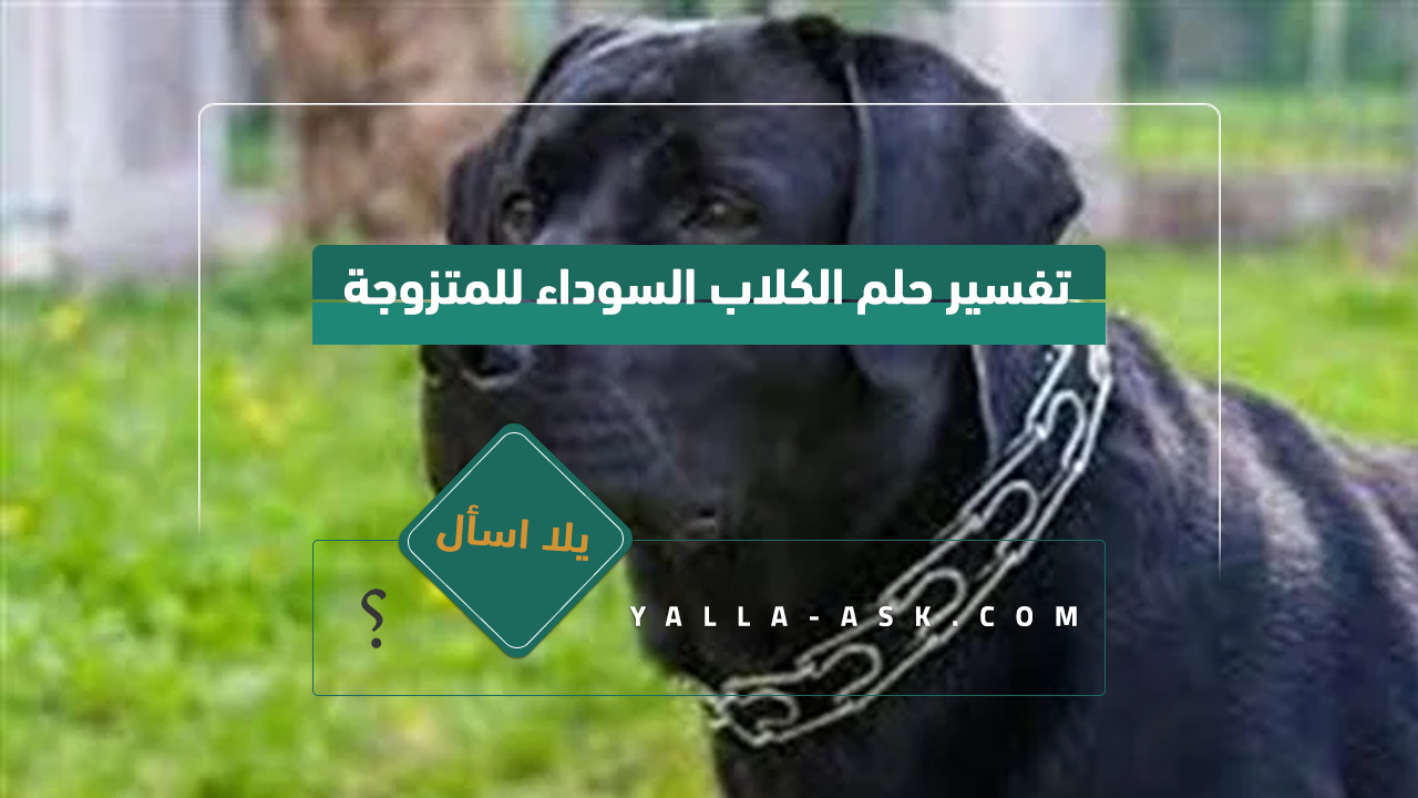 تفسير حلم الكلاب السوداء للمتزوجة