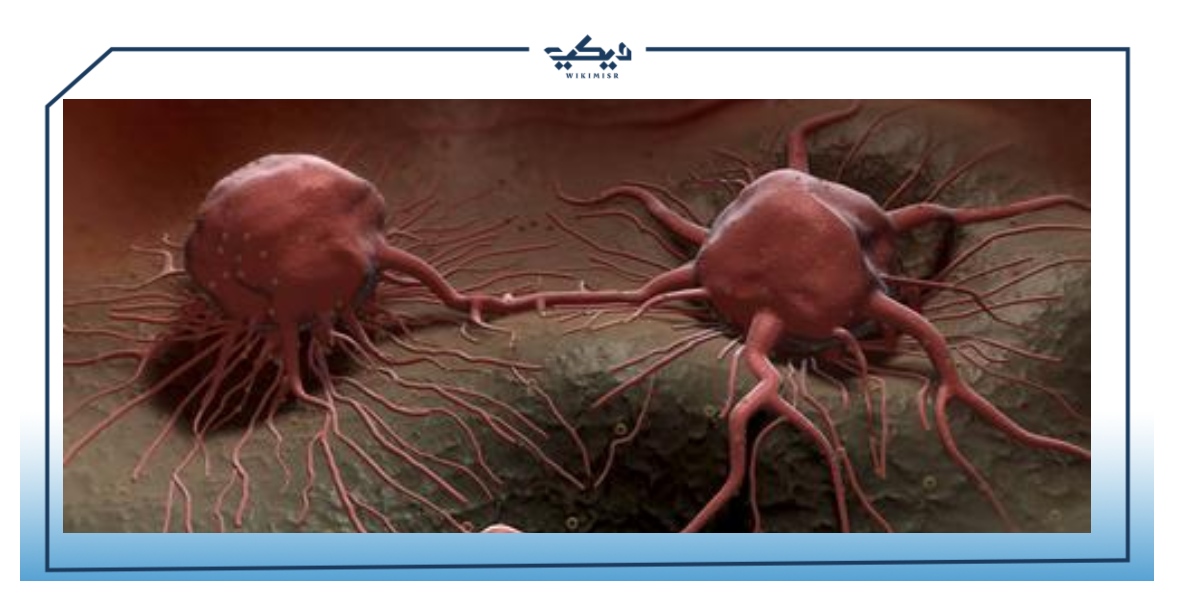 دواعي استعمال floxam 500 الاعراض الجانبية طريقة الاستخدام