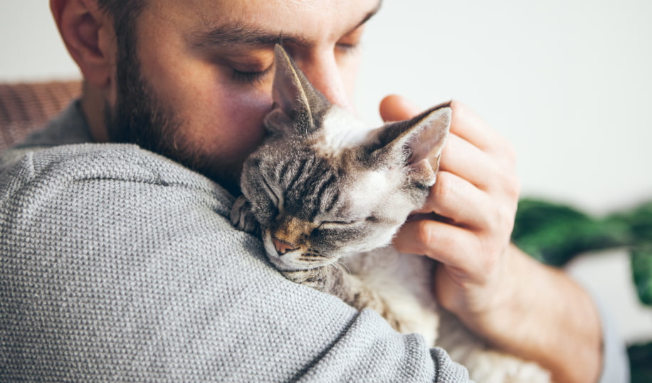 رؤية القط في المنام للرجل