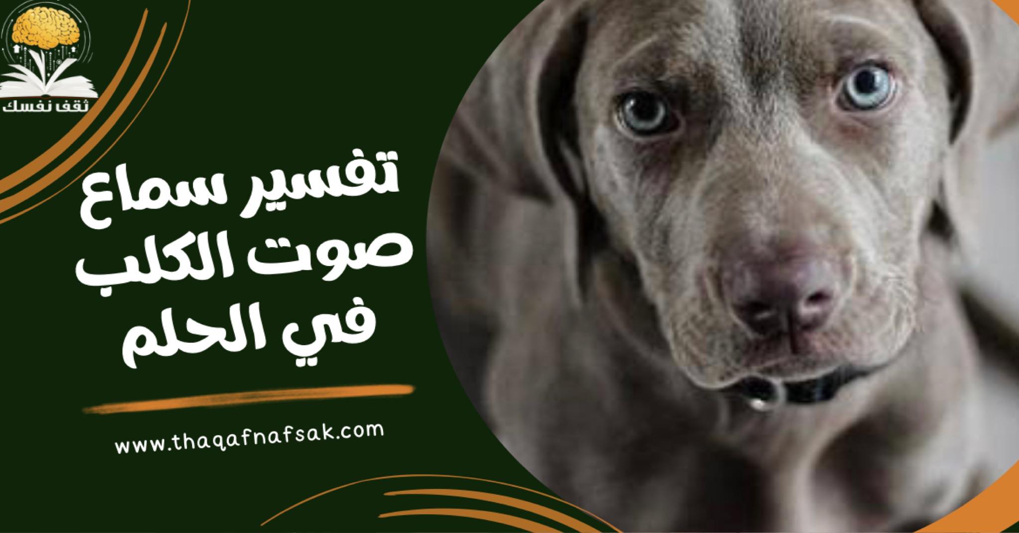 تفسير سماع صوت الكلب في الحلم وعلاقته بالمشاكل الأسرية والنفسية