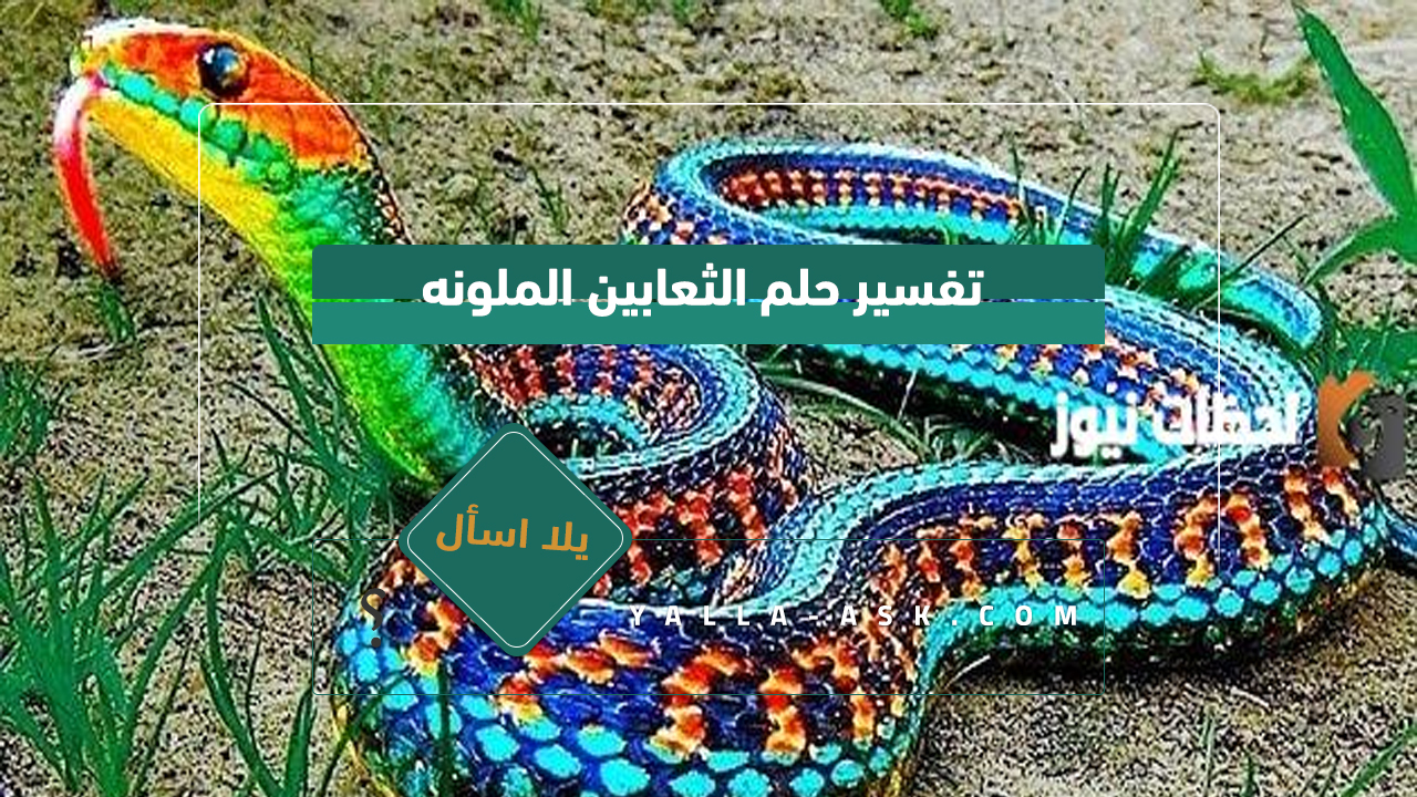 تفسير حلم الثعابين الملونة... رأيت ثعبان ملون يلتف حولي فماذا يعني هذا؟