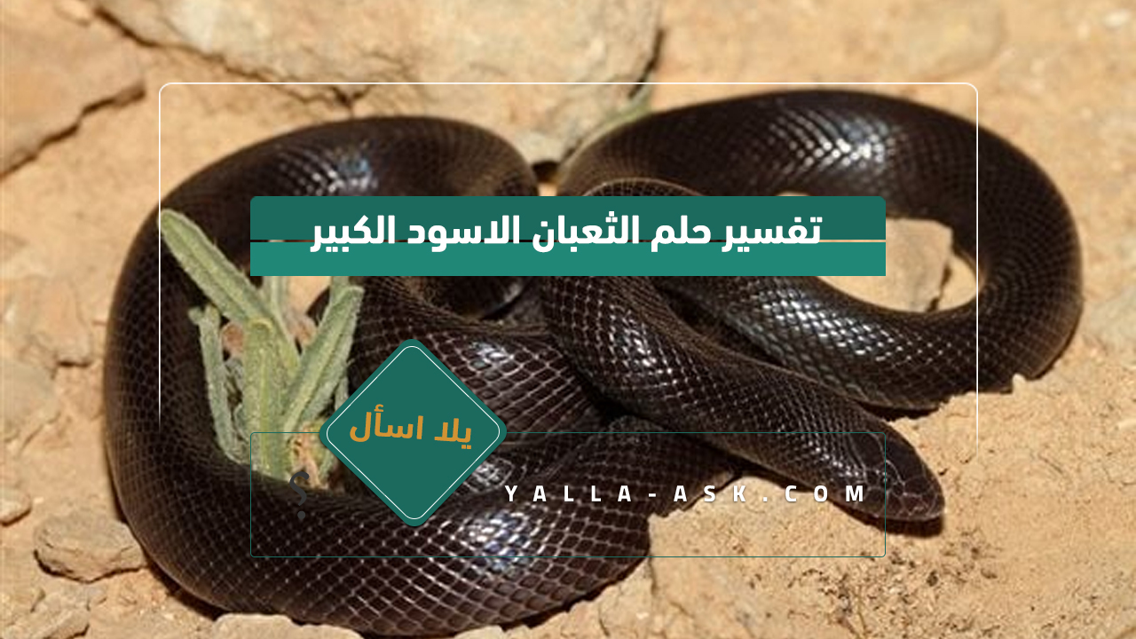 تفسير حلم الثعبان الأسود الكبير... رأيت ثعبان أسود فماذا يعني هذا؟