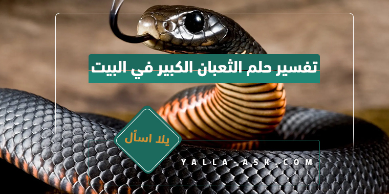 تفسير حلم الثعبان الكبير في البيت... ما تفسير حلم الثعبان الكبير؟