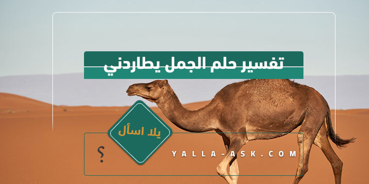 تفسير حلم الجمل يطاردني لابن سيرين رأيت جمل يطاردني فماذا يعني هذا؟