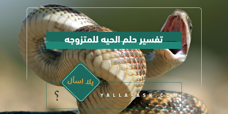 تفسير حلم الحي للمتزوجة… ما تفسير رؤية الحي للمتزوجة؟