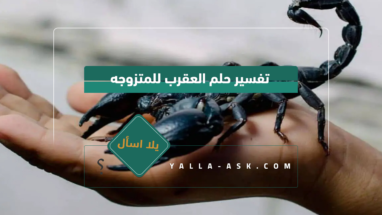 تفسير حلم العقرب للمتزوجة رأيت عقرب في حلمي ماذا يعني هذا؟