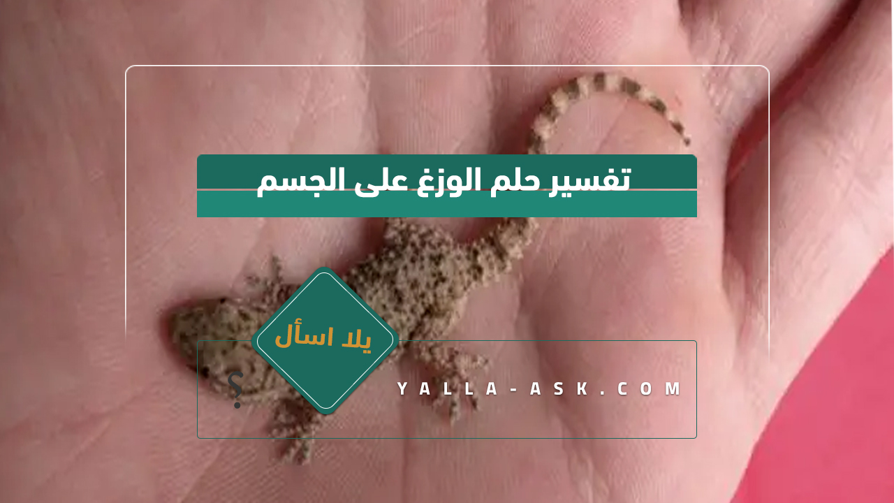 تفسير حلم الوزغة على الجسد... هل رؤية الوزغة في المنام تدل على الحسد؟