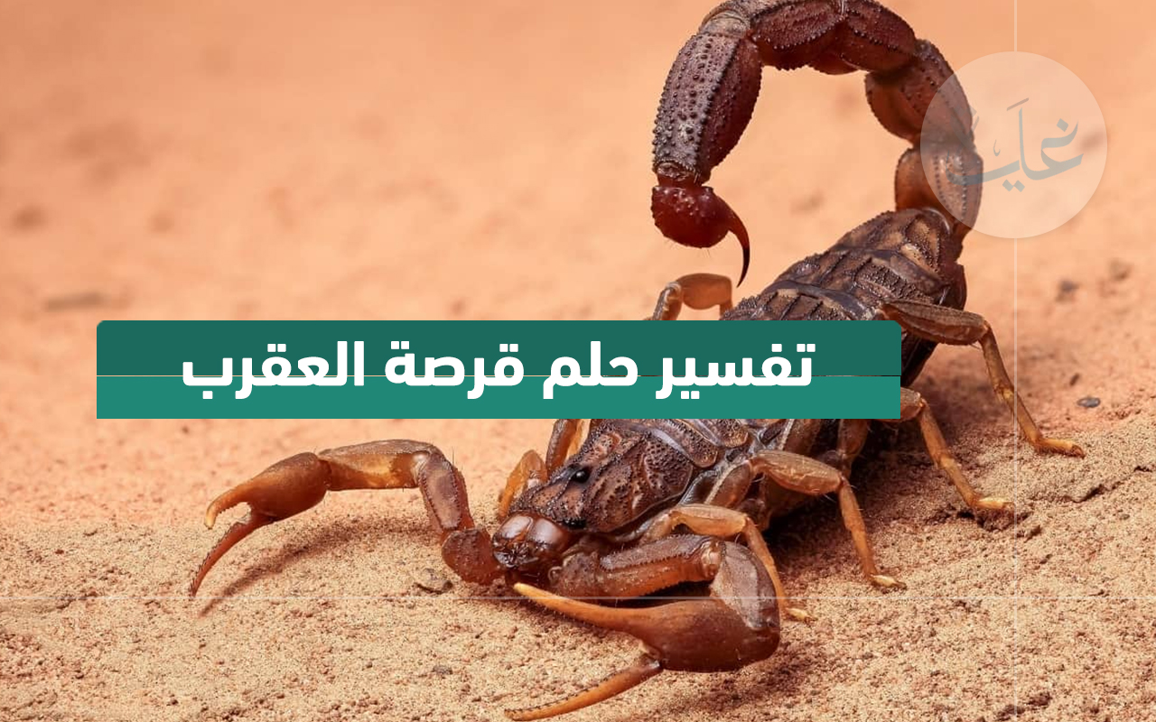 تفسير حلم لدغة عقرب.. رأيت في منامي أن عقرب لدغني ما تفسيرها؟