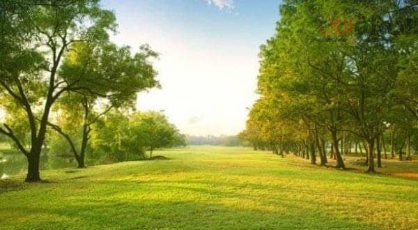 ما تفسير رؤية الأرض الخضراء في المنام لابن سيرين؟