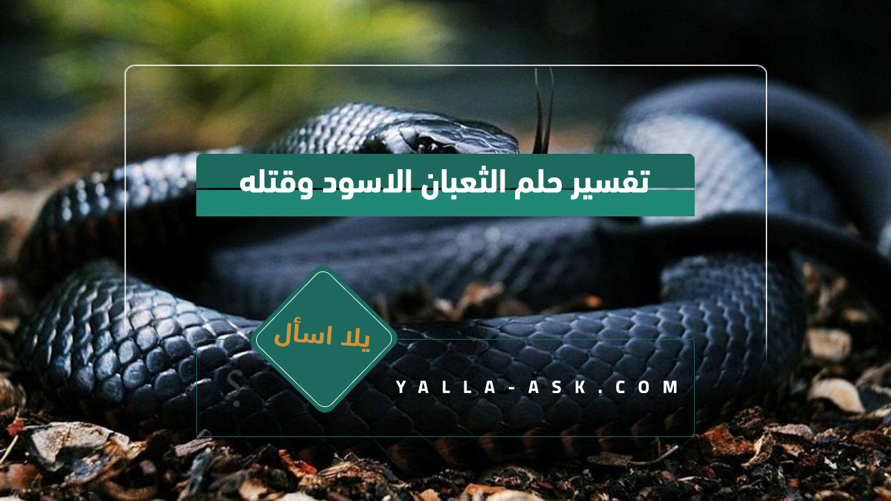 تفسير حلم الأفعى الأسود وجتلها ... دلالات قتل الثعبان في الحلم