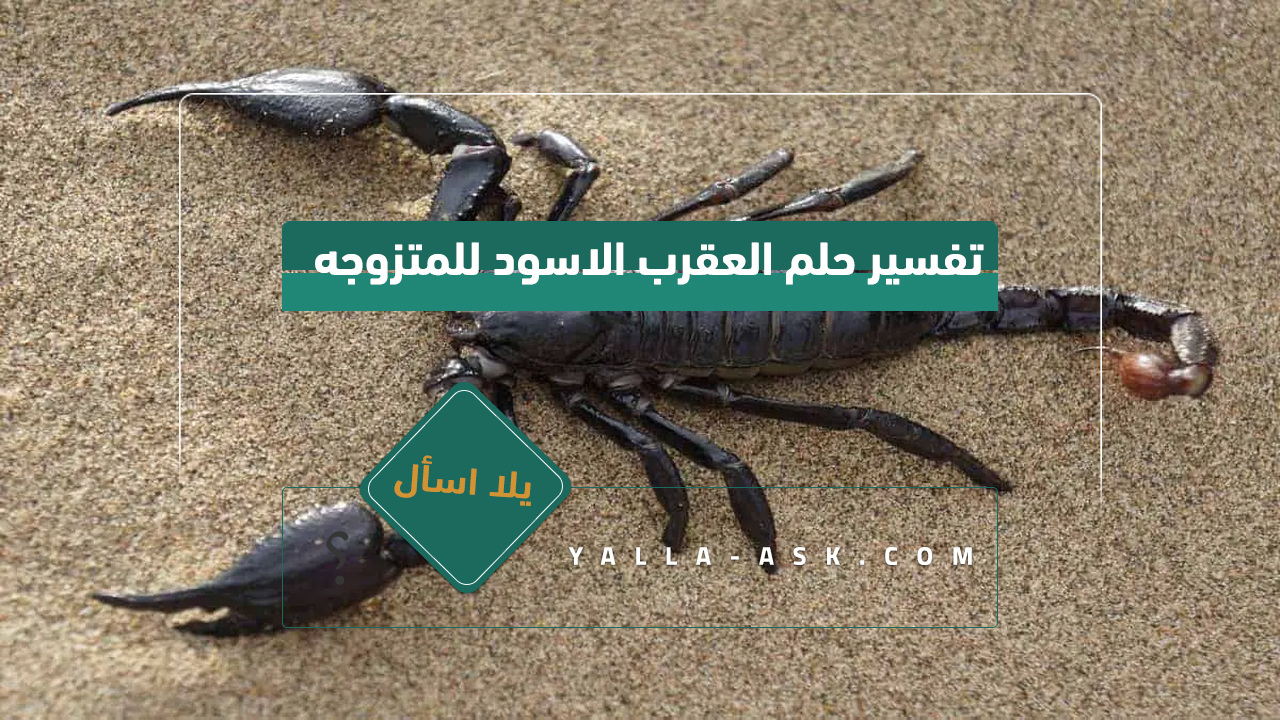 تفسير حلم العقرب الأسود للمرأة المتزوجة ... رأيت عقرب أسود في الحلم ، هل هو سيء؟