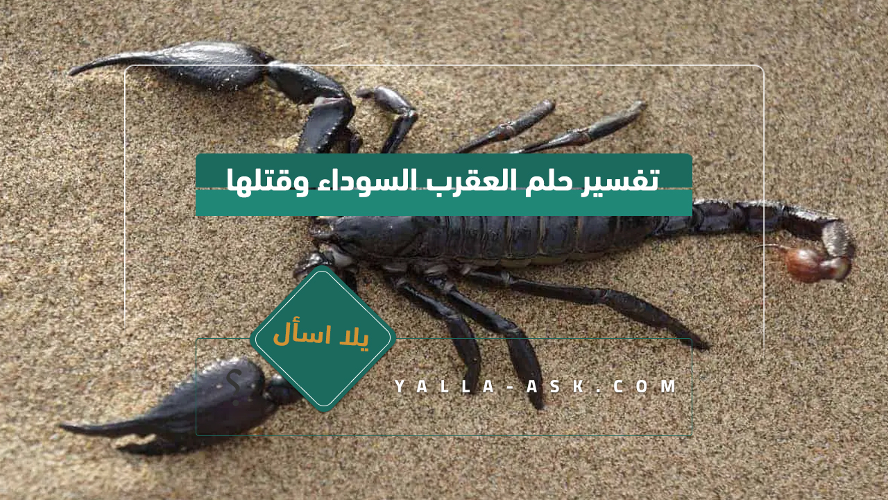 تفسير حلم العقرب الأسود وقتلته ... رأيت إحراجًا أسود وقتلته في حلم ، فماذا يعني ذلك؟