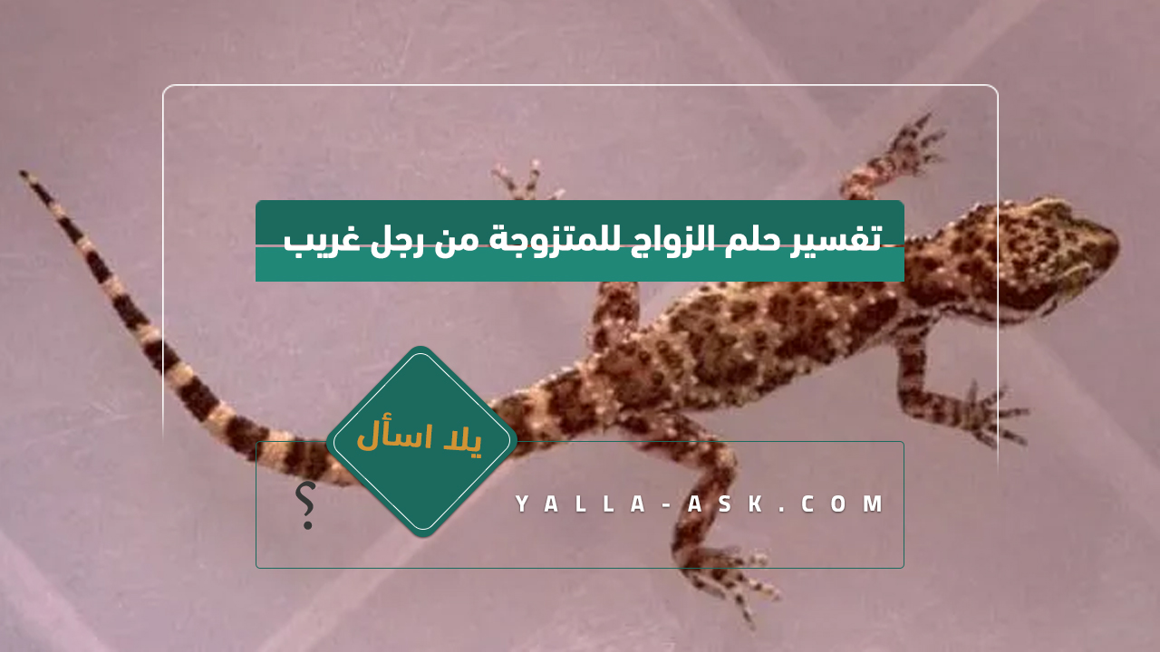 تفسير حلم بيركين ... رأيت أننا نصيح الجدار ، فما هو تفسيره؟
