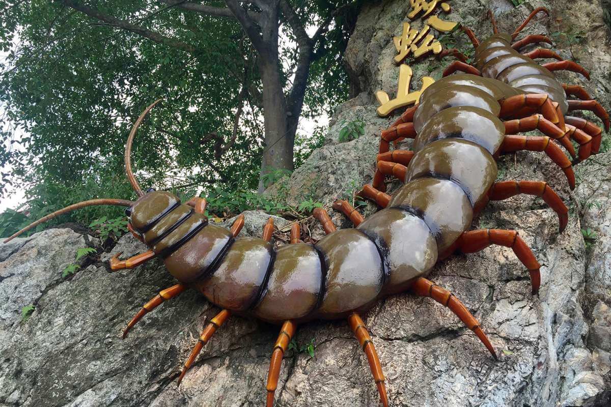 تفسير حلم أم أربعة وأربعين وقتلها للمتزوجة